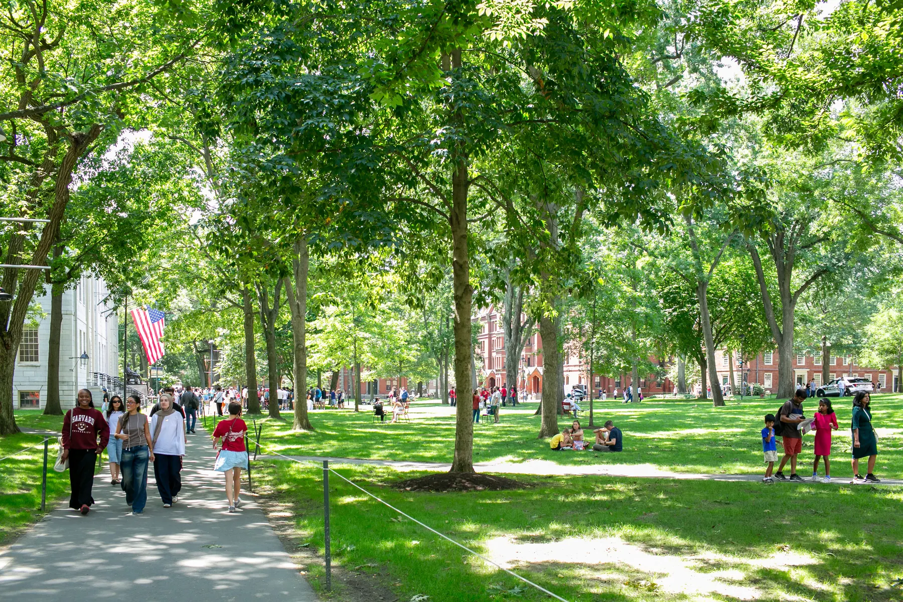 A shaded lawn in Cambridge on a summer day: people walking along a path under tall trees, others sitting on the grass, and brick buildings beyond.